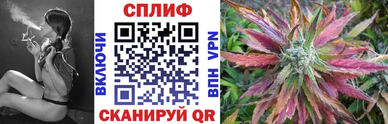 Канабис AK-47  как найти наркотики  OMG как войти  Сураж 